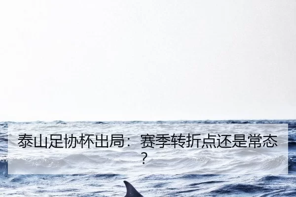 tai-shan-zu-xie-bei-chu-ju-sai-ji-zhuan-zhe-dian-hai-shi-chang-tai-2-482.jpg